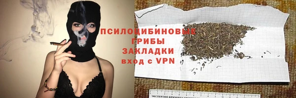эйфоретик Аркадак