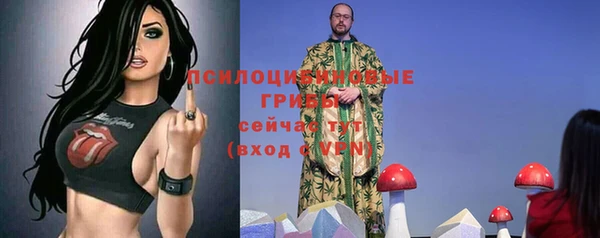 эйфоретик Аркадак