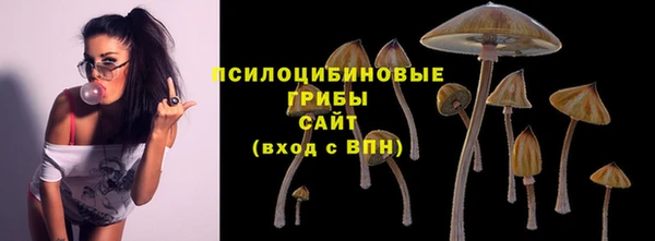 прущая мука Армянск