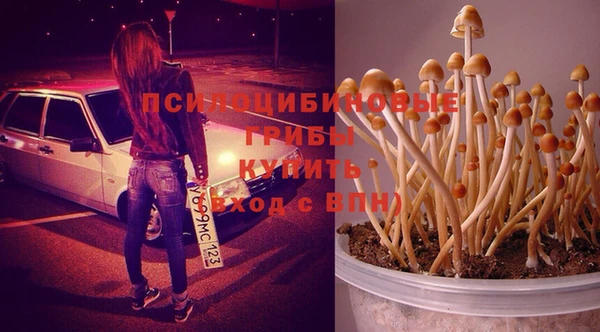 эйфоретик Аркадак