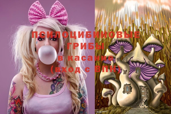 эйфоретик Аркадак