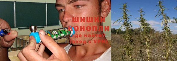 эйфоретик Аркадак