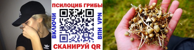 Галлюциногенные грибы Cubensis Нижний Ломов